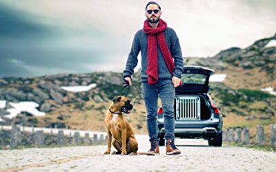 Épieux pour la chasse Solide et Léger