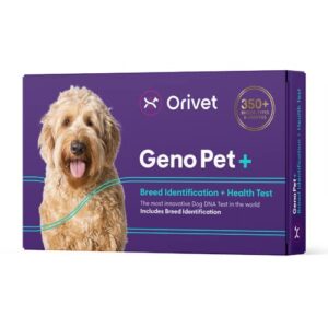 Orivet GenoPet+ Dog Test de l'ADN | Kit de Test de Race de Chien, Tests génétiques, Risques de santé héritables et Plan de Vie