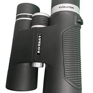 ELCM télescope (Noir)