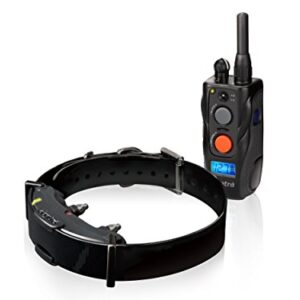Dogtra Arc 800 Collier de Dressage Ergonomique pour Chien Rechargeable, Étanche IPX9K, 127 Niveaux de Stimulation Électrostatique précis avec Ecran LCD et Vibration - Système 1 Chien - Portée 800 m