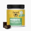 ivvi – Probiotic – Complément Alimentaire pour Chien, Bien -Etre Digestif – Probiotiques, Citrouille, Avoine, Graines de Lin et de Courge – 60 Délicieuses Friandises au Poulet, 270g