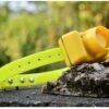 BEEPER COLLIER DE CHASSE INSTRUCTIONS formation de chien COLLIER BEEP rechargeable