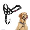Licol HALTI, Taille 3, Noir, Pour que votre chien arrête de tirer sur sa laisse, Facile à enfiler, Partie entièrement matelassée sur le museau, Colliers anti-traction pour chiens de taille moyenne