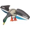VARADOMO Appât de Chasse Rotatif en Plein air Simulation de Canard à télécommande électrique en Plastique réaliste pour extérieur, terrasse, arrière-Cour pour la Chasse ou la pêche