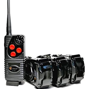 Collier de dressage à distance pour chien - Étanche et rechargeable - Sans aboiement - Pour chiens de petite taille, moyenne et grande taille - Ensemble de 3 dresseurs de chiens.