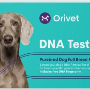 ORIVET Kit complet de test ADN pour chien berger australien