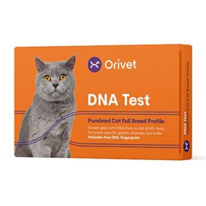 ORIVET Full Breed Profile Cat DNA Test Kit Comprehensive Health and Trait Screen For Purebred Cats