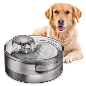 NPET 5L Fontaine à Eau Automatique pour Chien Chat Silencieuse, Convient aux familles Multi-animauxBol d'eau Animal, Grande, avec 2 Filtres, Gris, DF10