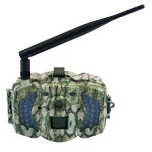 Berger schröter caméra de Chasse MMS gPRS 10 LED's MP Taille 31486 HD 720