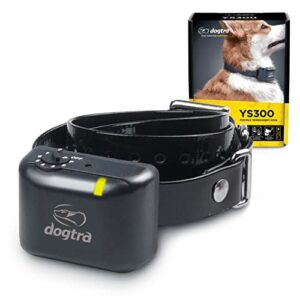 DOGTRA YS 300 collier Anti-aboiement pour chien de petite et moyenne taille