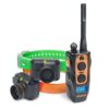 Dogtra 2602 T&B Accessoire Education pour Chien