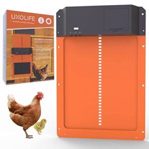Porte de poulet automatique automatique de poulailler porte de poulailler automatique porte entièrement métallique capteur de lumière poulailler porte minuterie contrôle écurie porte poulet coop porte