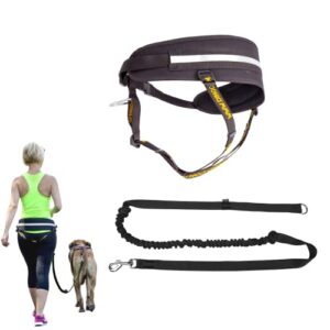Dingo Canicross Z30004 Kit de randonnée et de ski avec laisse mains libres pour chien avec élastique absorbant les chocs et poignée avec joint torique pour chiens de petite, grande et moyenne taille