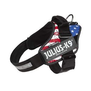 IDC Powerharness, Taille L/1, Drapeau USA