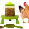 Mangeoire poules 2 kg et pelle , distributeur automatique pour aliment volailles, poulailler et pondoir, accessoire pour nourriture graine de volaille et vers de farine