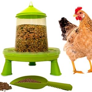 Mangeoire poules 2 kg et pelle , distributeur automatique pour aliment volailles, poulailler et pondoir, accessoire pour nourriture graine de volaille et vers de farine