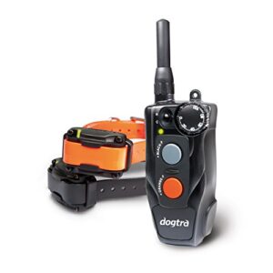 Dogtra 612 C Mallette de Emetteur + 2 Colliers-Récepteurs + Chargeur pour Chien