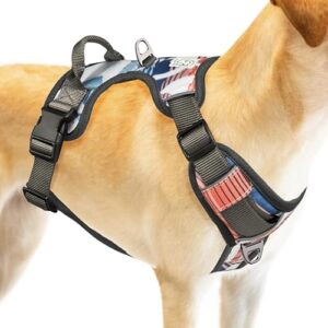 Embark Urban Dog Harnais pour chien facile à mettre et à enlever avec attaches de laisse avant et arrière et poignée de contrôle – Pas de traction, taille réglable et non étranglement (grand
