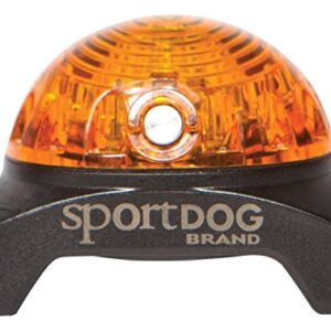 SportDOG - Localisateur Lumineux pour Chien, Lampe de repérage, idéal Chien de Chasse - Jaune