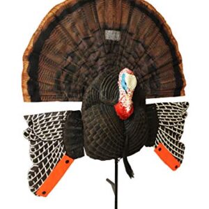 Mojo Scoot-N-Shoot Max Tom Turquie Leurre de chasse avec ventilateur réaliste Multicolore