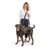 PetSafe Harnais de Levage CareLift pour Les Chiens infirmes ou âgés – Soulèvement de Tout Le Corps à l’aide d’une poignée – Matière Respirante et Confortable – Réglage Facile – Grand Chien