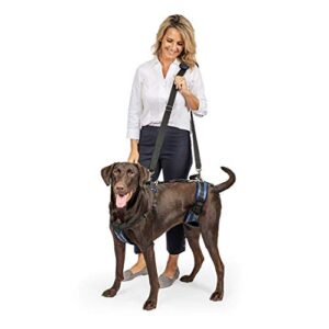 PetSafe Harnais de Levage CareLift pour Les Chiens infirmes ou âgés - Soulèvement de Tout Le Corps à l'aide d'une poignée - Matière Respirante et Confortable - Réglage Facile - Grand Chien