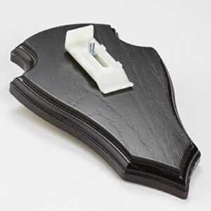 EUROHUNT Le chevreuil Planchette de cornes pointe Chêne 19x12cm foncé avec Clip appartenant
