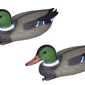 Artecsis 2X Canard colvert Male en Plastique 35 cm, Figurine pour Jardin, Décoration pour Étang ou Leurre pour la Chasse