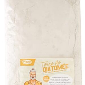 VOZYDEO Terre de Diatomée, barrière Contre Les Insectes et Parasites, Complément Alimentaire, sans Transformation Chimique Vermifuge, Produit Naturel et Economique, Intérieur Extérieur Blanc, 1 kg