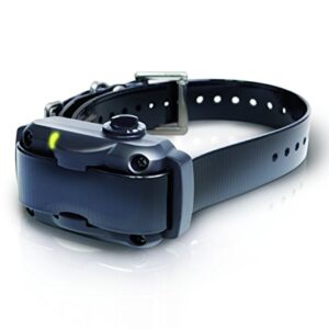 Dogtra écorce Collier – Ys600 – Rechargeable – Etanche – Charge Rapide – 10 Niveaux d'intensité – Fourni avec Eoutletdeals Value Bundle, YS600 w/Free eOutletDeals Travel Bowl