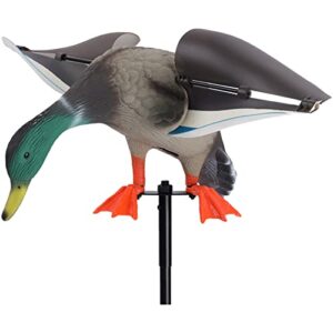 VARADOMO Piscine Flottante Canard Canetons Ornement De Bassin À Poissons Canard en Plastique Réaliste Leurres De Colvert Canard De Simulation Pneumatique De Moulage par Soufflage PE