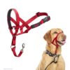 Licol HALTI, Taille 3, Rouge, Pour que votre chien arrête de tirer sur sa laisse, Facile à enfiler, Partie entièrement matelassée sur le museau, Colliers anti-traction pour chiens de taille moyenne