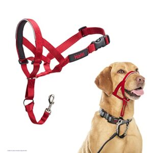 Licol HALTI, Taille 3, Rouge, Pour que votre chien arrête de tirer sur sa laisse, Facile à enfiler, Partie entièrement matelassée sur le museau, Colliers anti-traction pour chiens de taille moyenne