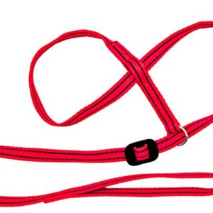Laisse pour chien et licol tout en un pour gaucher Gencon