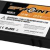 Spypoint Batterie au lithium (LIT-09) – Accessoires pour caméra de surveillance de la faune, Noir, S