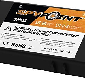 Spypoint Batterie au lithium (LIT-09) - Accessoires pour caméra de surveillance de la faune, Noir, S
