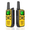 Talkie Walkie Professionnel Longue Portée