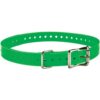 ACC,Collar Strap,3/4″,SQ-Buckle,Tuck-Ring,Nickel,Green