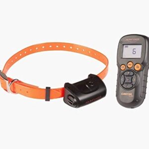 NUM'AXES CANICOM 5.201