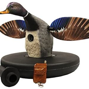 MOJO Elite Series Flotteur pour canards et colvert