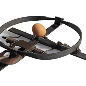 TRAPGALLIER piège à Oeuf de 25cm spécial fouines