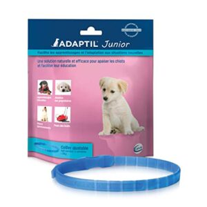 ADAPTIL Junior – Anti-stress pour chien – Collier Pour Chiots