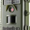 BUSHNELL – Piège Photographique – Natureview Essential – 12MP – Scintillement Flash Led Faible – Vert – Photo Animalière – 119739