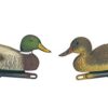 Appelant Canard Colvert Couple