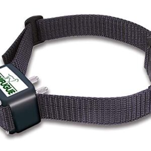 NUM'AXES Collier Seul/supplémentaire pour syqtème Anti-Fugue CANIFUGUE FUG1030/ CANIFUGUE Mix FUG1031