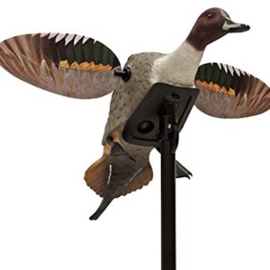 MOJO OUTDOORS Mojo extérieur Elite Série Pintail – Canard de Chasse Motion Leurre