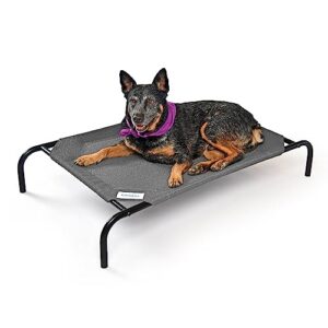 Coolaroo The Original Lit surélevé rafraîchissant pour Chien, intérieur et extérieur, Taille M, Gris Acier
