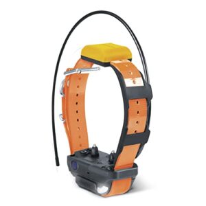 Dogtra Pathfinder 2 Collier Supplémentaire de Repérage GPS et de Dressage Rechargeable Orange, Lumière LED, Étanche IPX9K, 100 Niveaux de Stimulation, Vibration et bip sonore, Portée 10 km