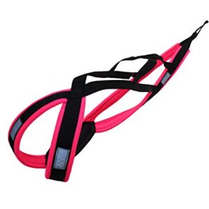 LASALINE Harnais de Traction X-Back pour Chien, Canicross Bike Ski Joering Scooter Traineau - Noir Rose néon