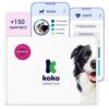 Koko Test ADN pour Chiens Advanced – (+150 rapports sur Races, Santé et Traits) – Mises à Niveau sans Frais